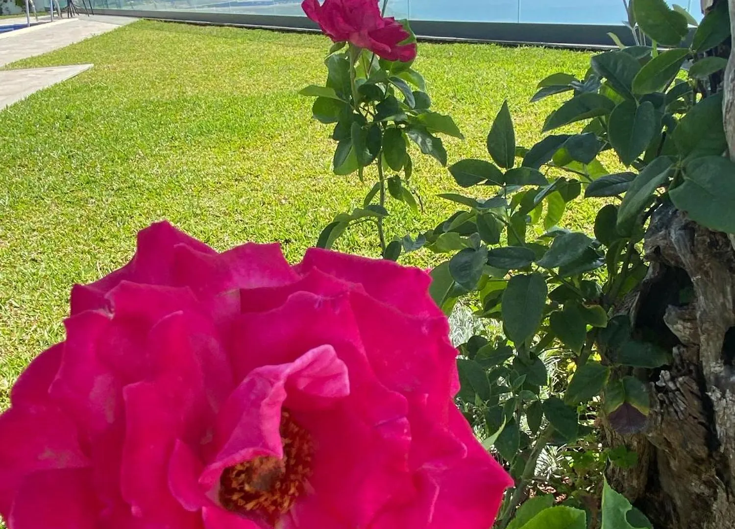 Villa Ceu E Mar Prazeres